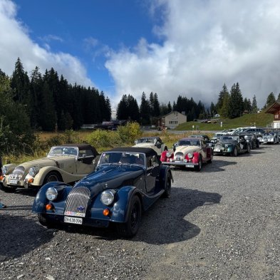 whatsapp_image_2026-01-21_at_180119_2